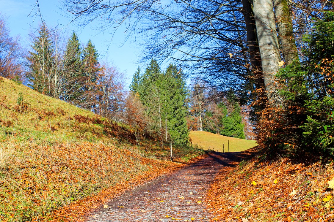 Unterkunft im Allgäu: Wanderweg bei Reichenbach im November 2023 - Landhaus Glaab - Gästezimmer & Ferienwohnungen