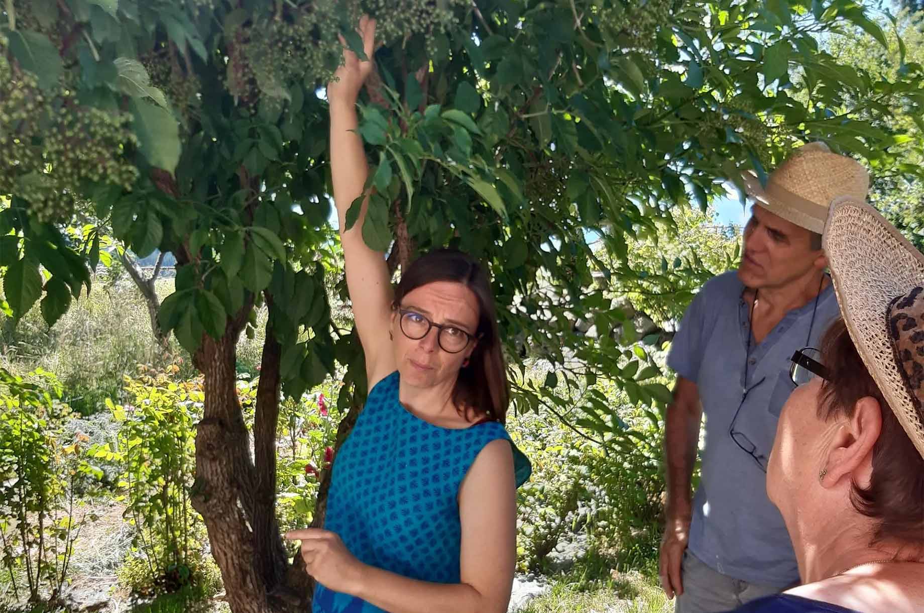 Veranstaltungen im Oberallgäu: Gartenführungen und mehr mit der Holderhexe - Die Holderhex erzählt - Märchen & Mythen unterm Holderbusch