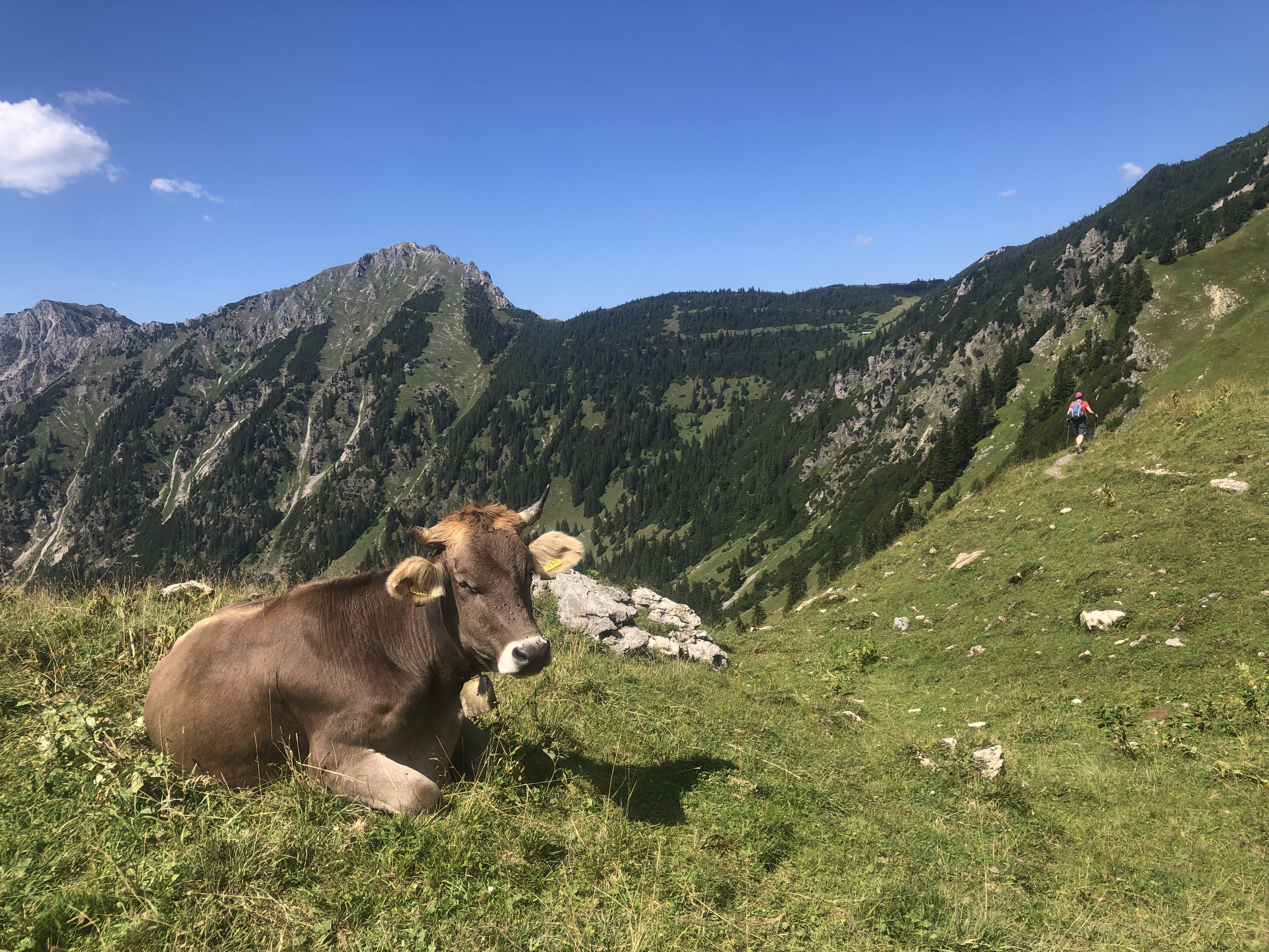 Unterkunft im Allgäu: Wanderparadies Hinterstein im Naturschutzgebiet Allgäuer Hochalpen  - Hotel Waidmannsheil - Café & Restaurant in Hinterstein