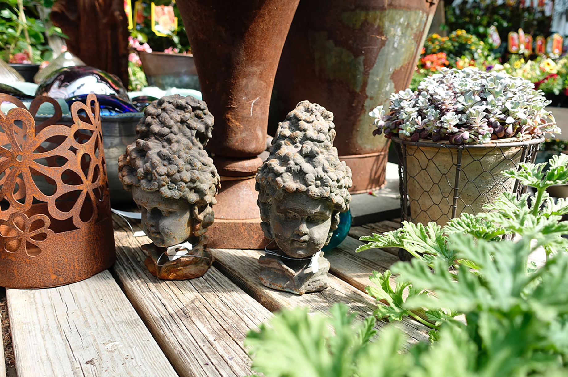 Veranstaltungen im Oberallgäu: Rosenfest bei Andres Haas Anfang Mai in Bad Oberdorf - Rosenfest im Mai 2026 in Bad Oberdorf 