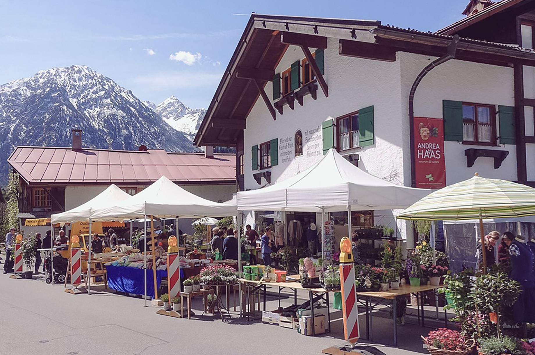 Veranstaltungen im Oberallgäu: Rosenfest bei Andres Haas Anfang Mai in Bad Oberdorf - Rosenfest im Mai 2026 in Bad Oberdorf 