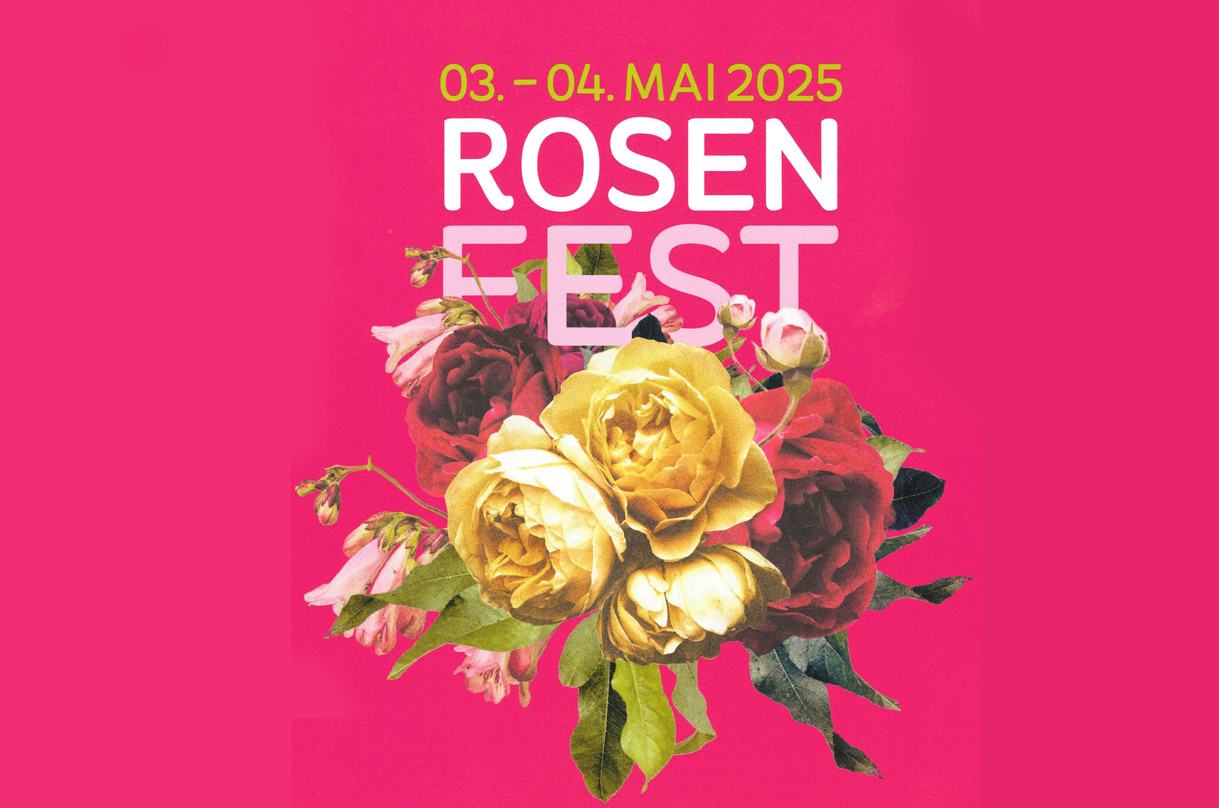 Veranstaltungen im Oberallgäu: Rosenfest im Anfang Mai in Bad Oberdorf - Rosenfest im Mai in Bad Oberdorf 