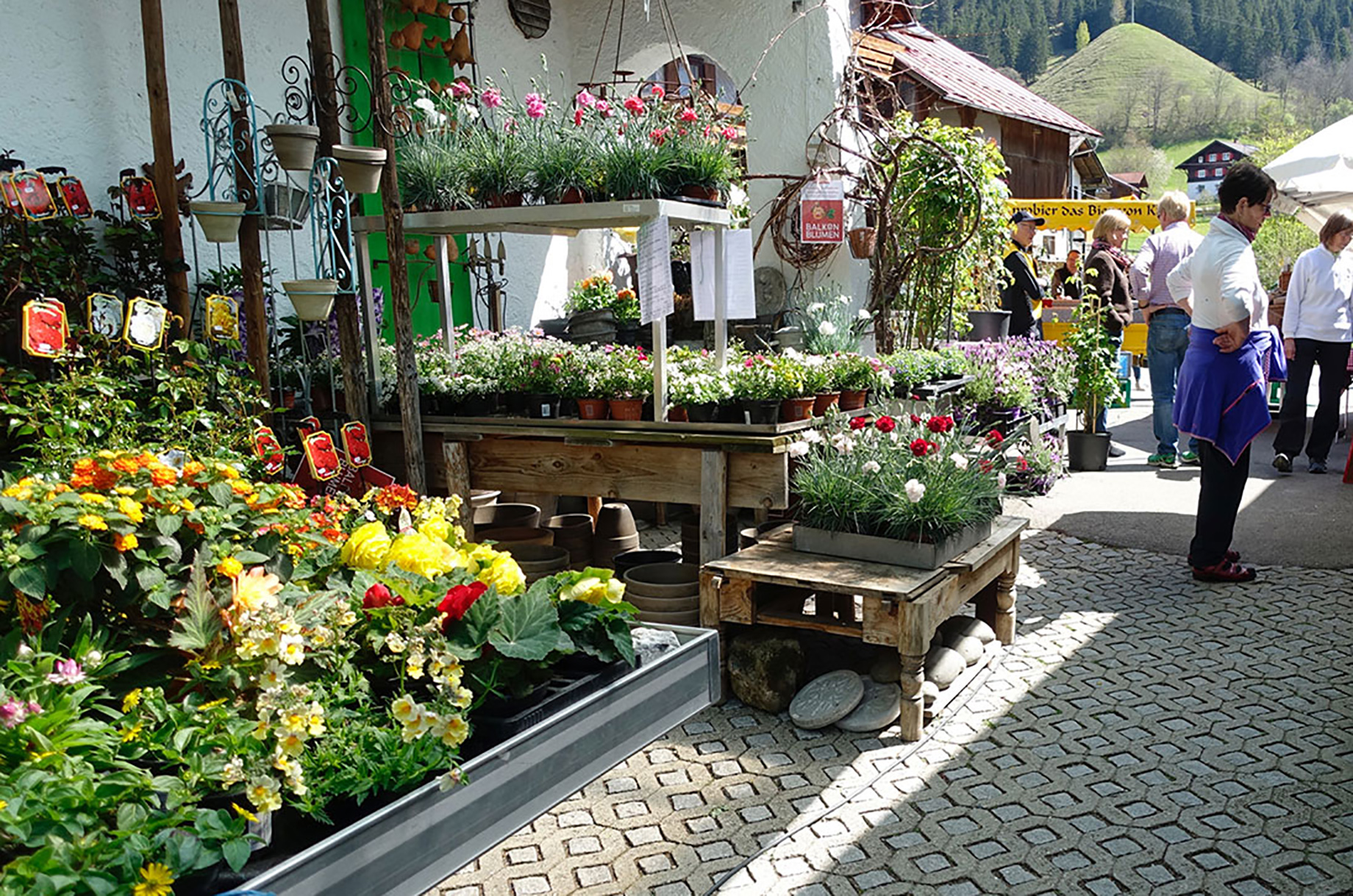 Veranstaltungen im Oberallgäu: Rosenfest im Anfang Mai in Bad Oberdorf - Rosenfest im Mai in Bad Oberdorf 