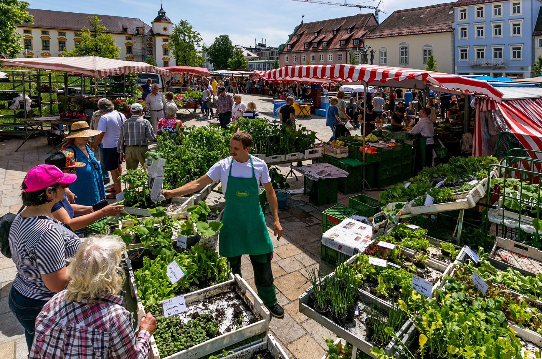 Hotels und Ferienwohnungen im Oberallgäu - Deutschland - Bioland-Gärtnerei und Gemüseladen Bayrhof - Bioland-Gärtnerei und Gemüseladen Bayrhof 
