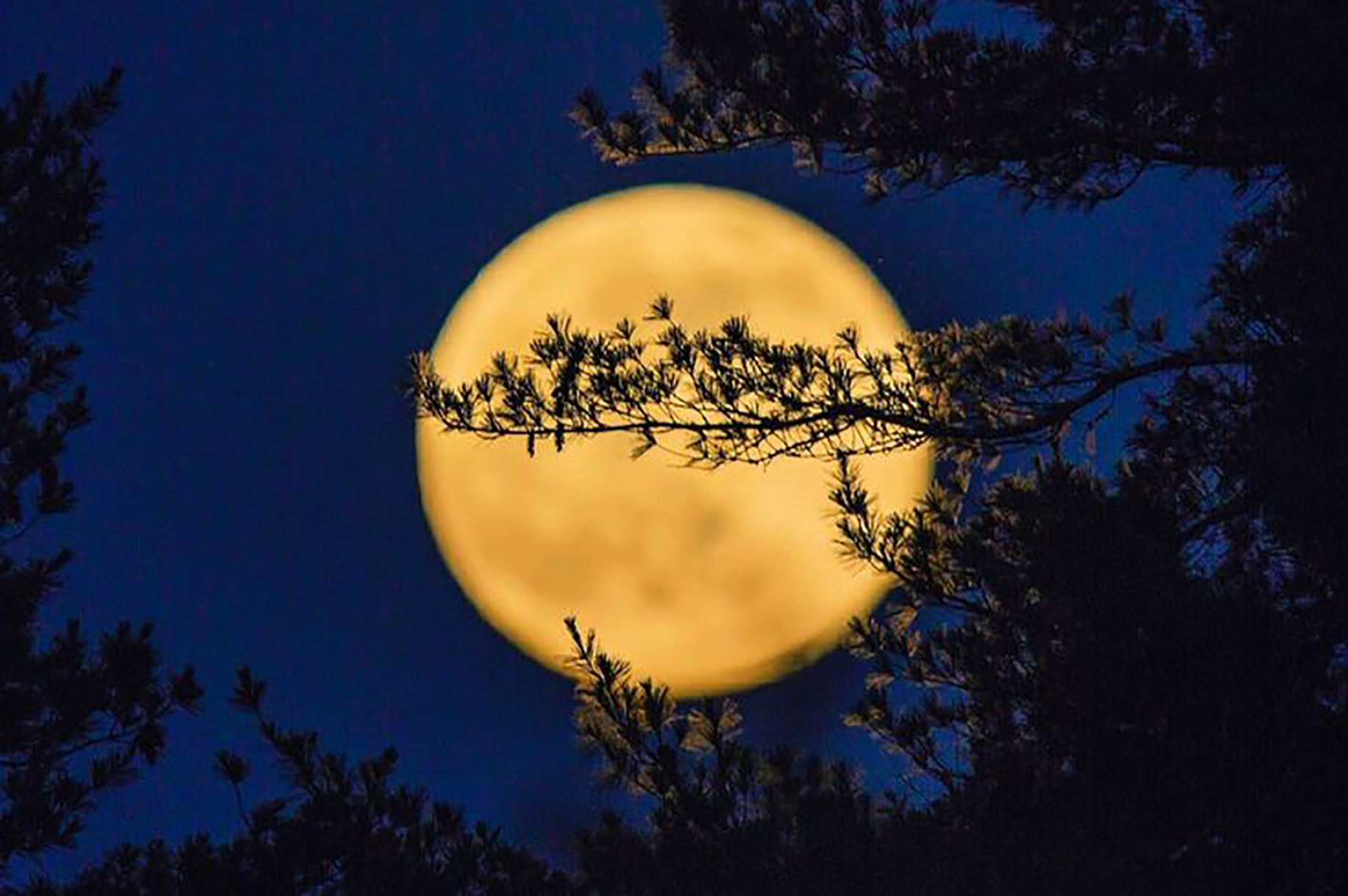 Hotels und Ferienwohnungen im Oberallgäu - Parken & Anreise: Anreise mit ÖPNV möglich - Sonnenuntergangs- & Vollmondfahrt am Hochgrat - Vollmond- und Sonnenuntergangsfahrt am Hochgrat